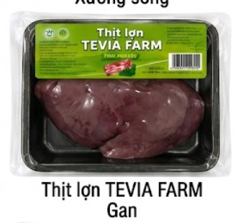 Gan